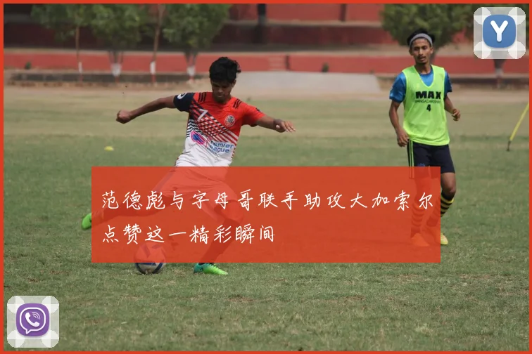 范德彪与字母哥联手助攻大加索尔点赞这一精彩瞬间