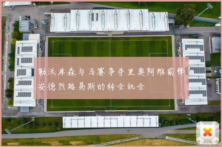勒沃库森与马赛争夺里奥阿维前锋安德烈路易斯的转会机会